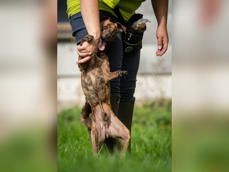 Darf Lio mit Ihnen auf große Abenteuer gehen?