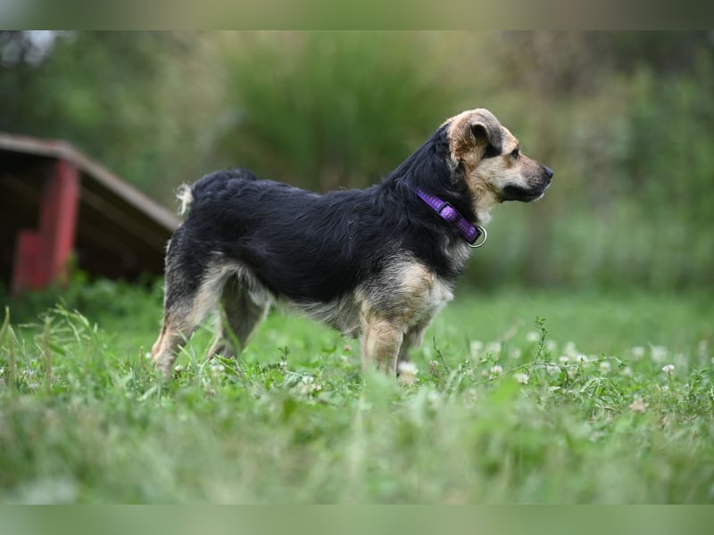 Lolek - mit 8 Kilo durch dick und dünn