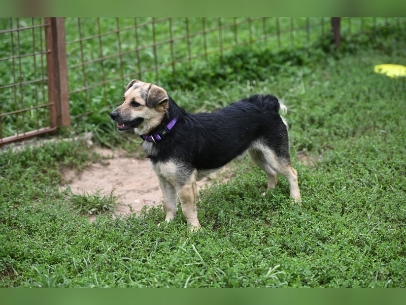 Lolek - mit 8 Kilo durch dick und dünn