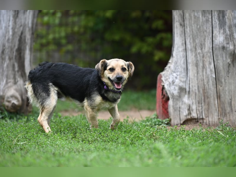 Lolek - mit 8 Kilo durch dick und dünn