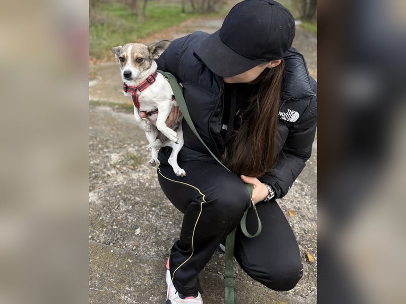 Zarte Lori sucht ihre Menschen