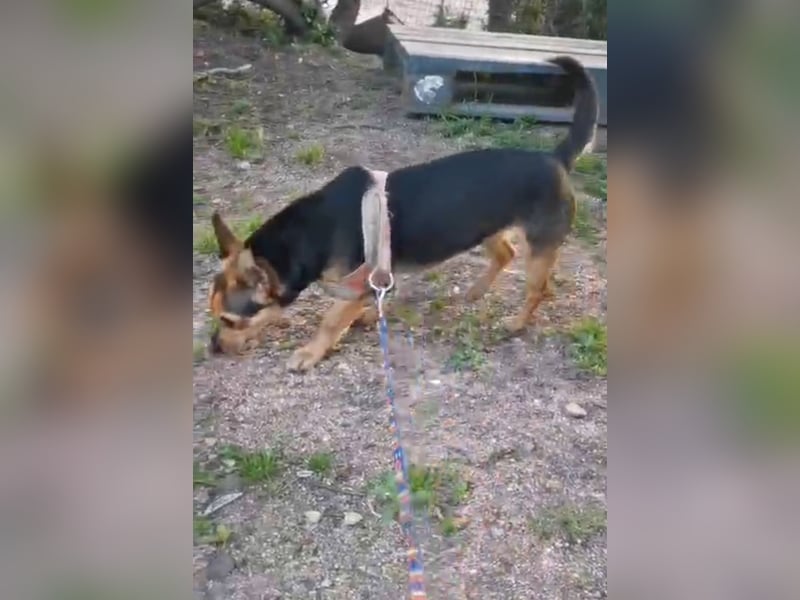 Rita: klein, aber oho!