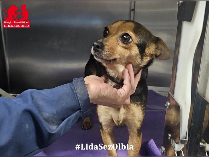 Rita: klein, aber oho!