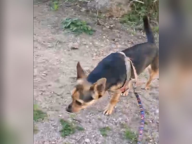 Rita: klein, aber oho!