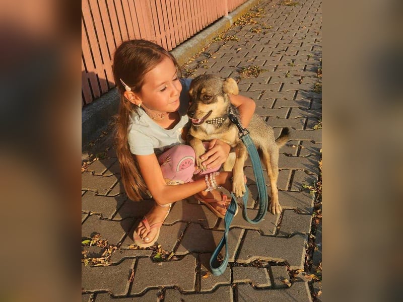 FELICE ♥ - Gerettet vor dem Tod durch Erschießen; 2023