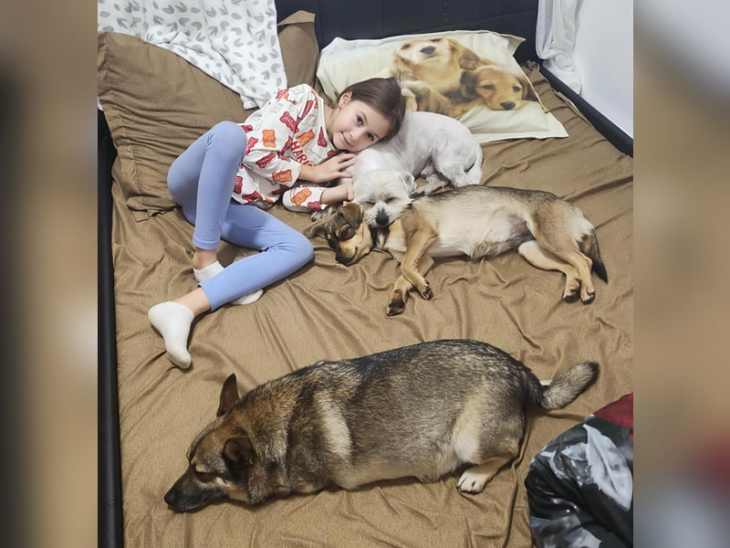 FELICE ♥ - Gerettet vor dem Tod durch Erschießen; 2023