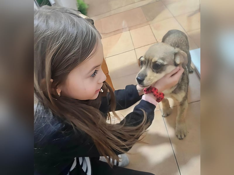 FELICE - Gerettet vor dem Tod durch Erschießen; 2023