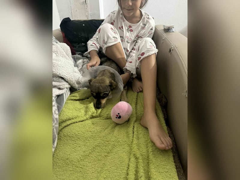 FELICE - Gerettet vor dem Tod durch Erschießen; 2023