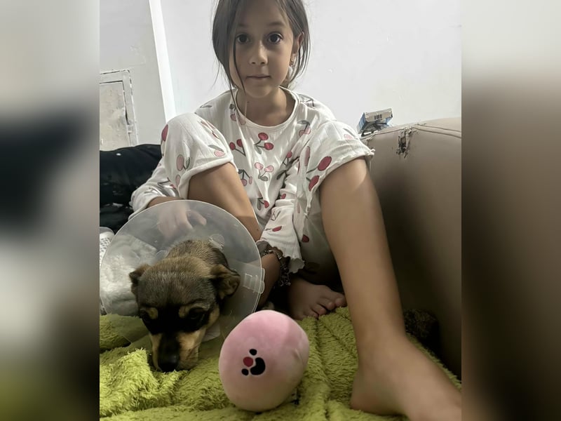 FELICE ♥ - Gerettet vor dem Tod durch Erschießen; 2023