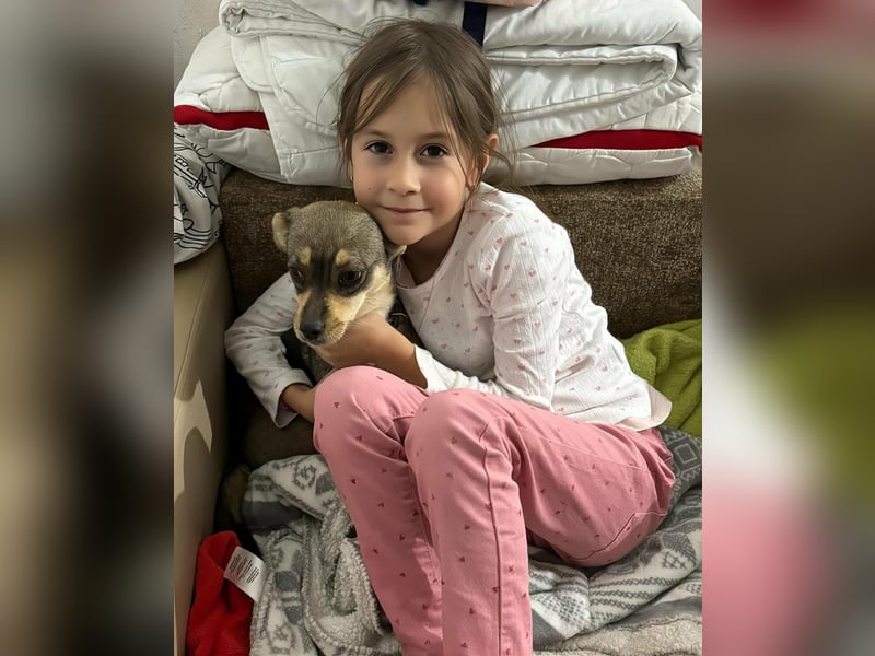 FELICE ♥ - Gerettet vor dem Tod durch Erschießen; 2023