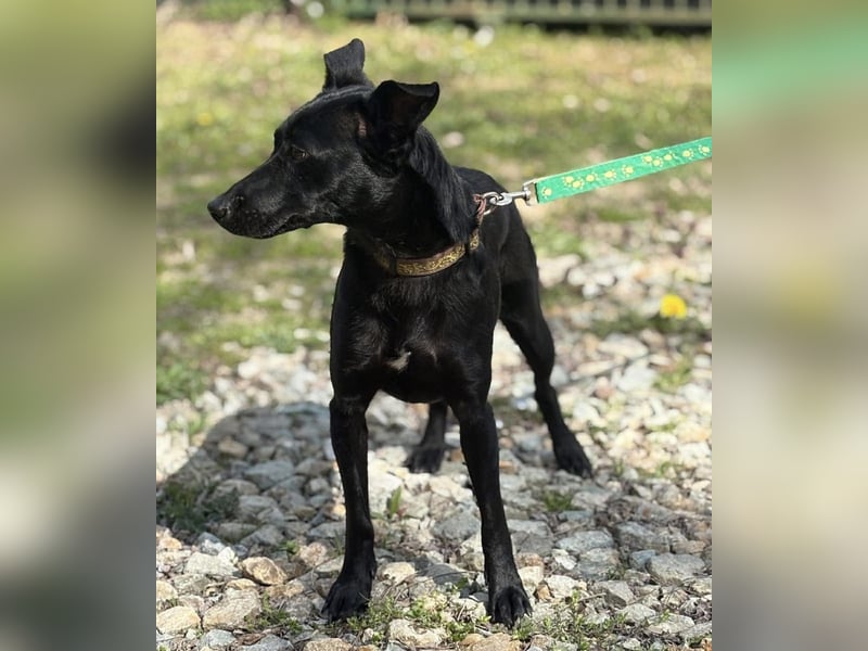 Zora ein ängstlicher Engel