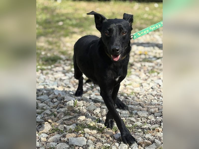 Zora ein ängstlicher Engel