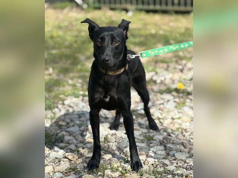 Zora ein ängstlicher Engel