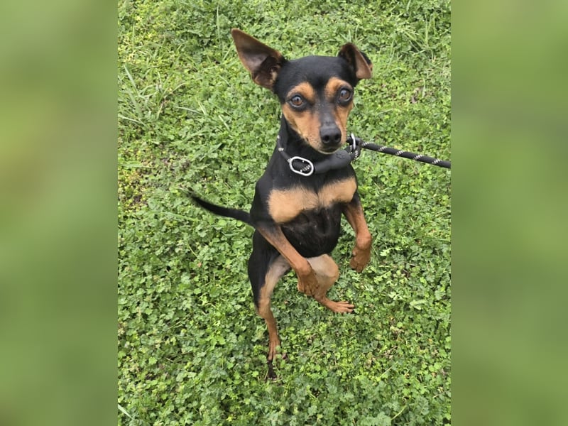 Glamour - einfach glamourös