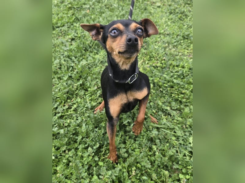 Glamour - einfach glamourös