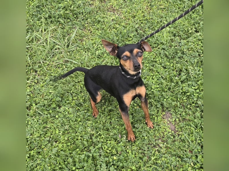 Glamour - einfach glamourös