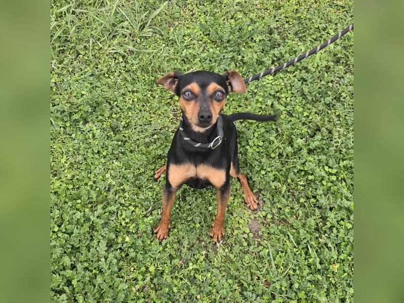 Glamour - einfach glamourös