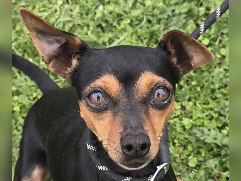 Glamour - einfach glamourös