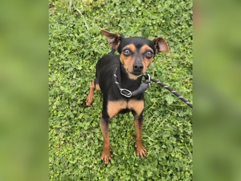 Glamour - einfach glamourös