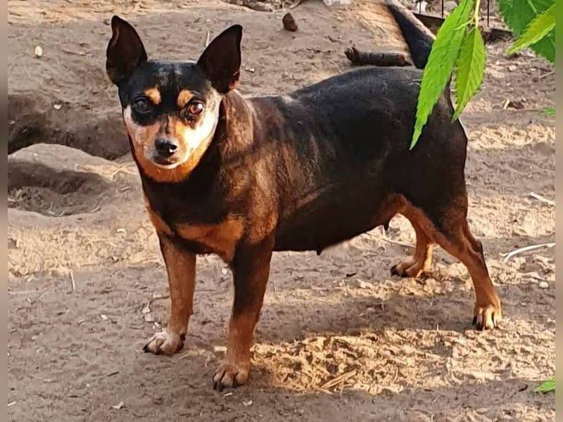  PEGGI – Kleine Lady mit großem Herz