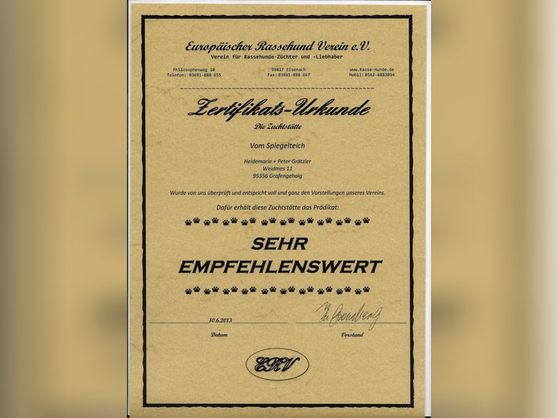Wir haben traumhaft schöne kleine Toy / Zwerg Pudel mit Papiere (Ahnenpass)