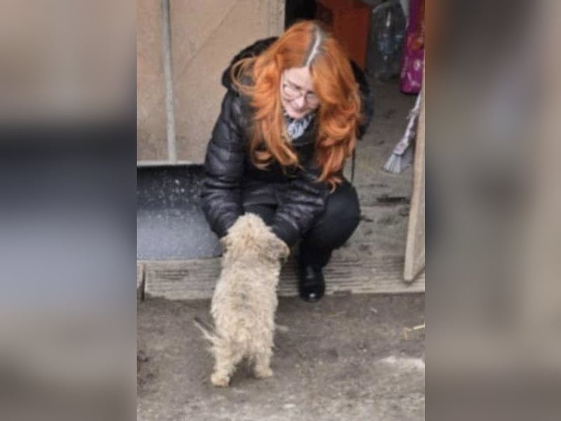 Bogyo, klein, schnuckelig und im besten Alter