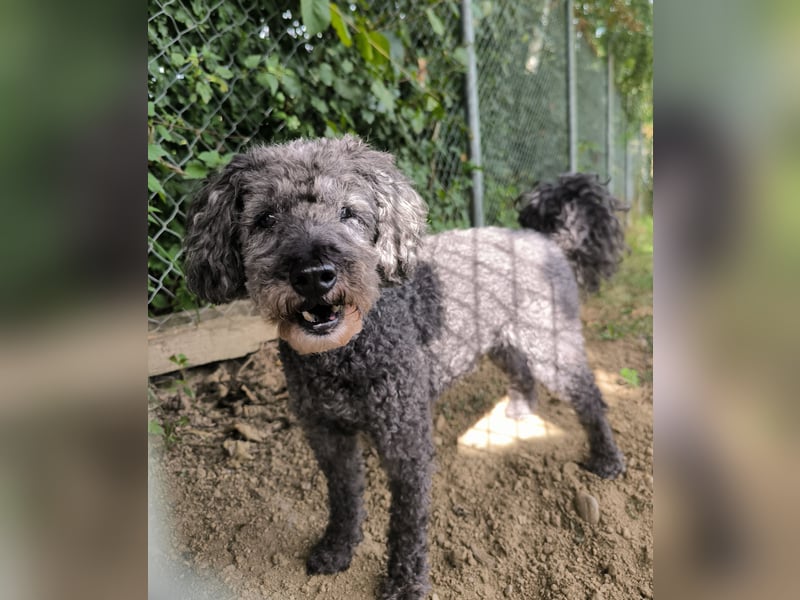 Jacko sucht ein neues Zuhause
