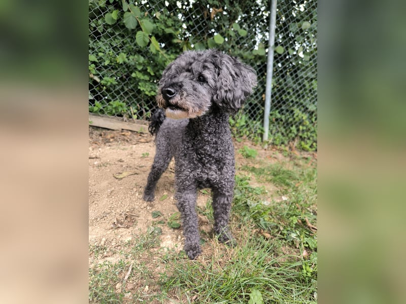 Jacko sucht ein neues Zuhause