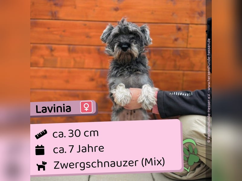Lavinia
