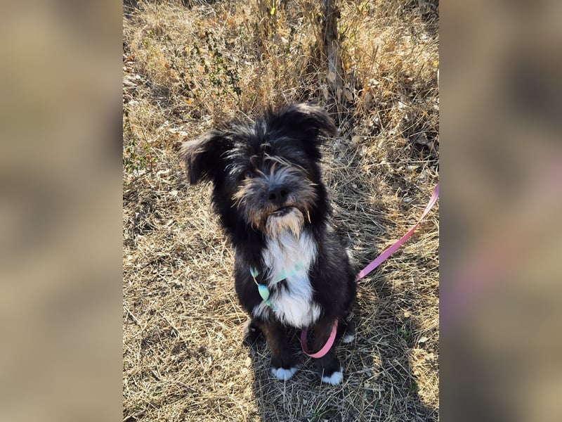 Fröhliche Stella wünscht sich eine Familie