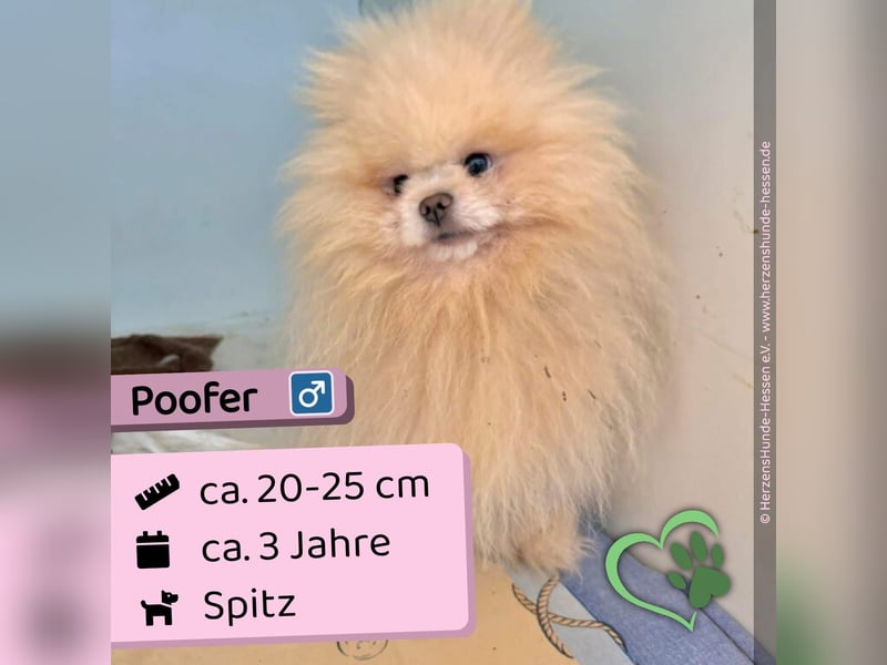 Poofer