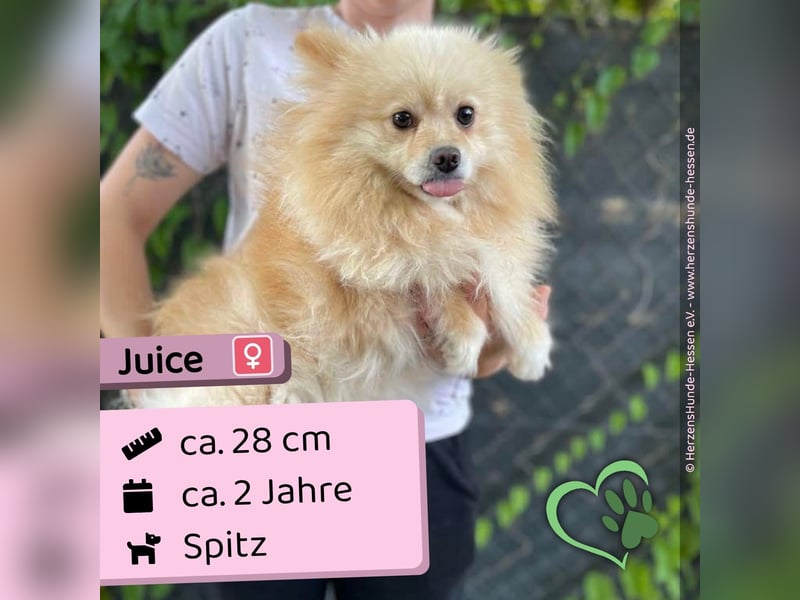 Juice