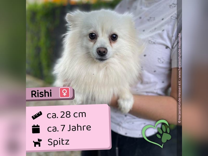 Rishi