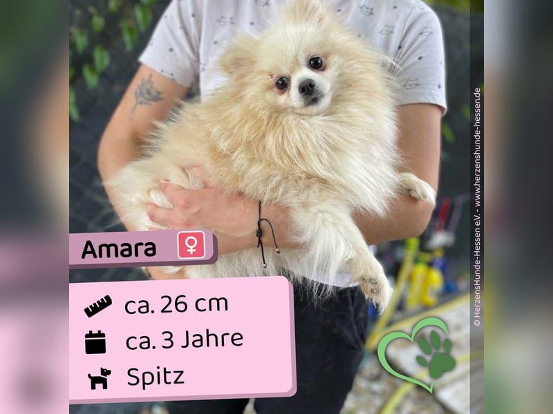 Amara