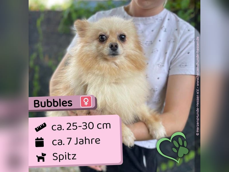 Bubbles