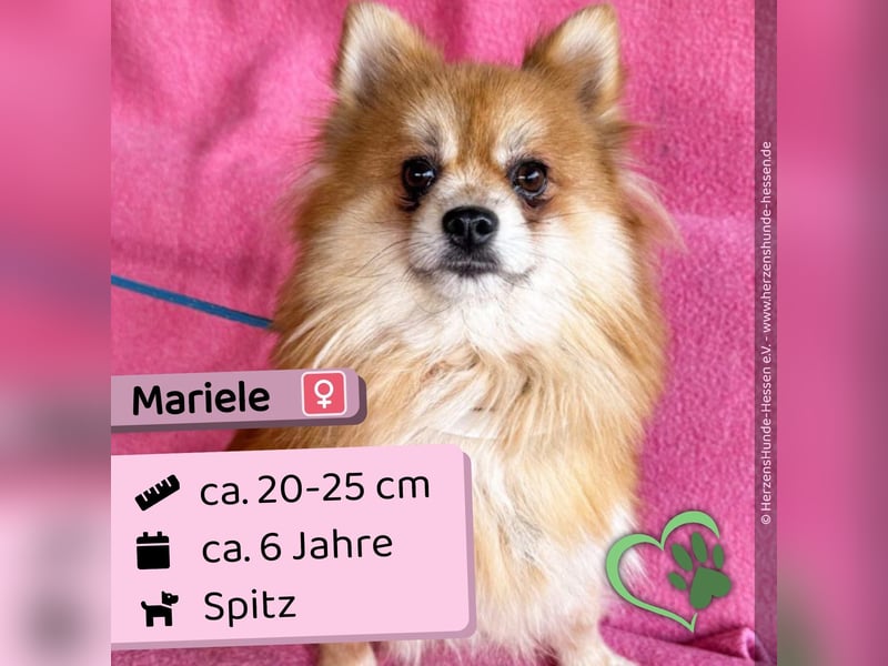 Mariele