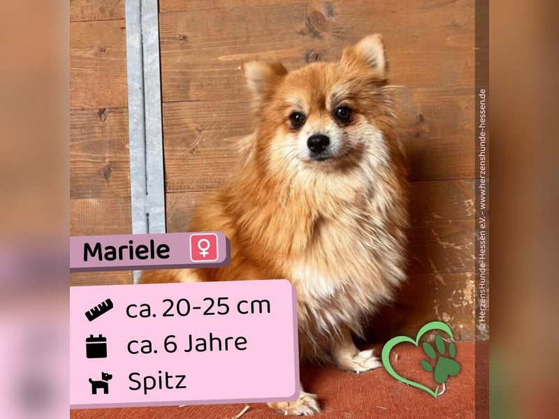 Mariele