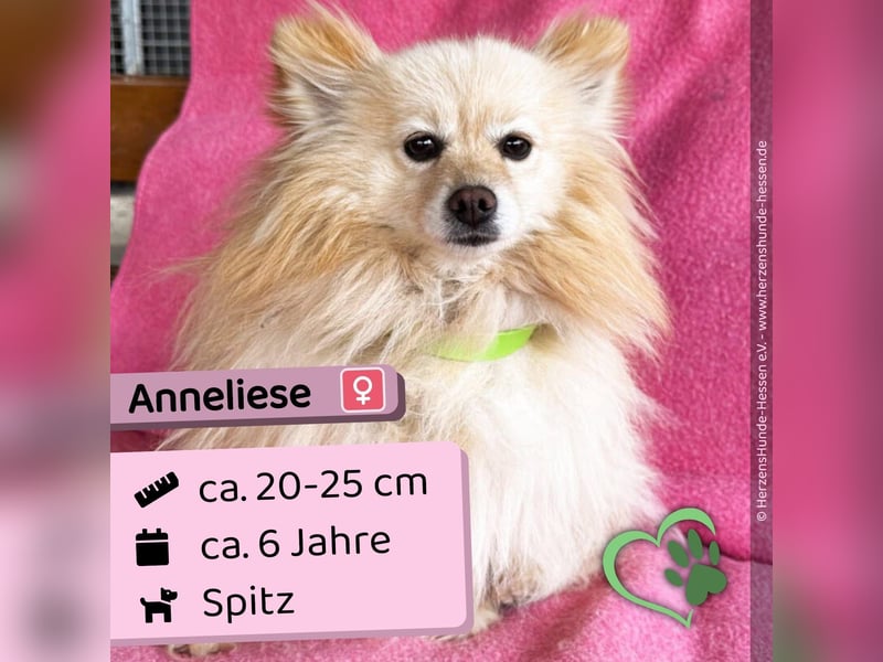 Anneliese