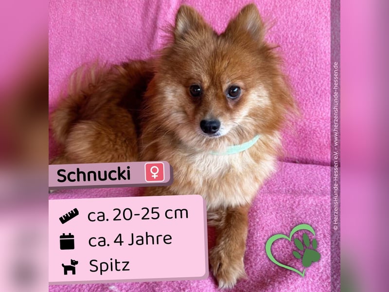 Schnucki