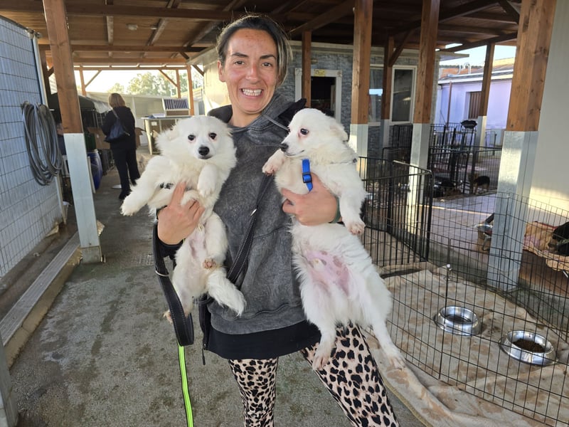 Leo und Poldo: ein Herz und eine Seele