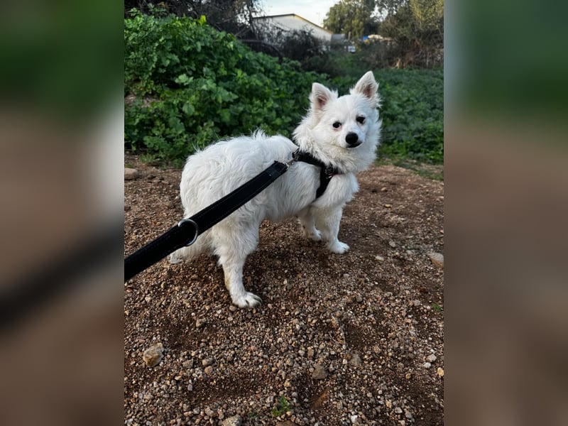 Leo und Poldo: ein Herz und eine Seele