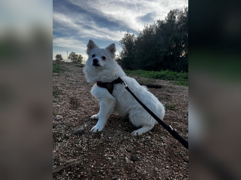 Leo und Poldo: ein Herz und eine Seele