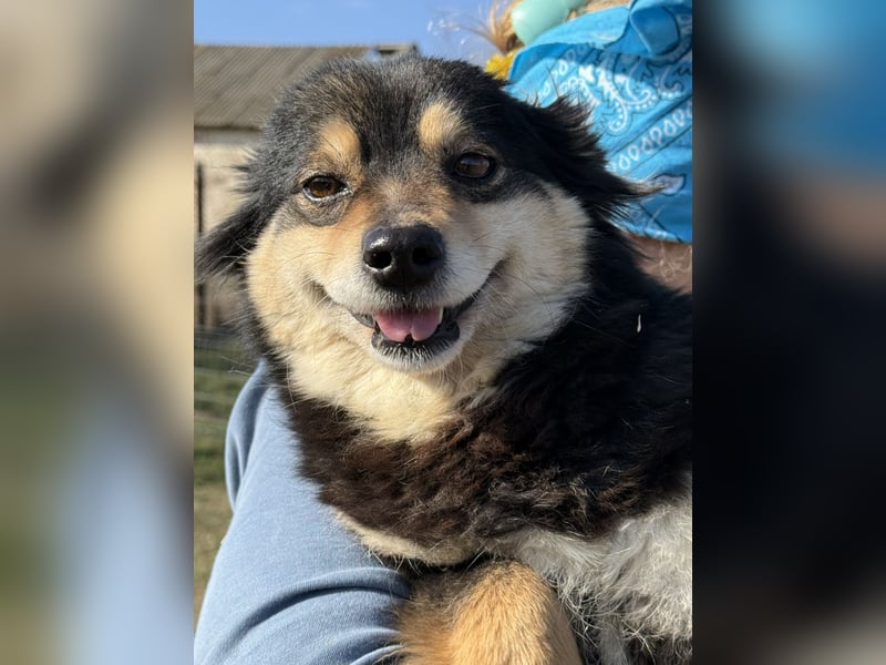 Kleine Maggie sucht ihr Glück