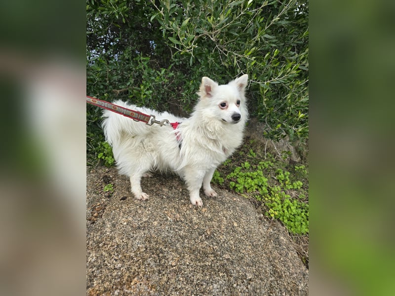 Leo - spielen, schmusen, die Welt entdecken