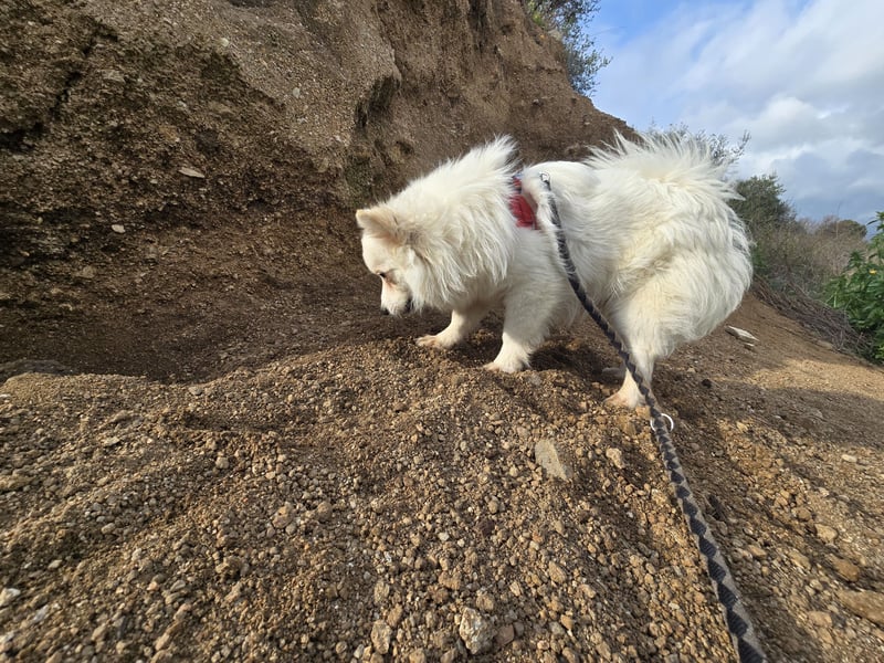 Leo - spielen, schmusen, die Welt entdecken