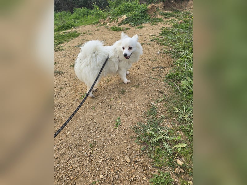 Leo - spielen, schmusen, die Welt entdecken