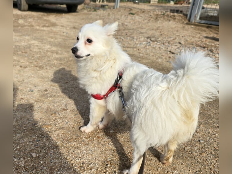 Leo - spielen, schmusen, die Welt entdecken
