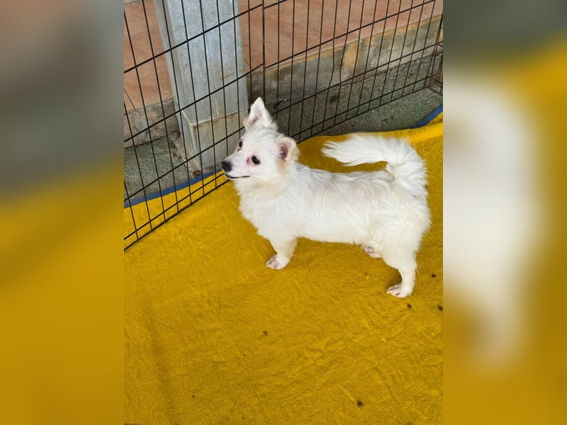 Leo und Poldo: ein Herz und eine Seele