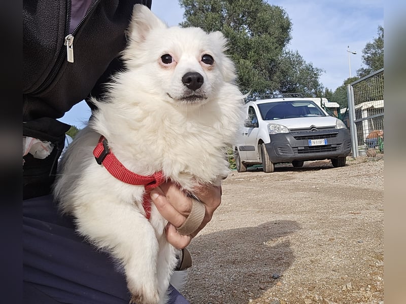 Leo - spielen, schmusen, die Welt entdecken
