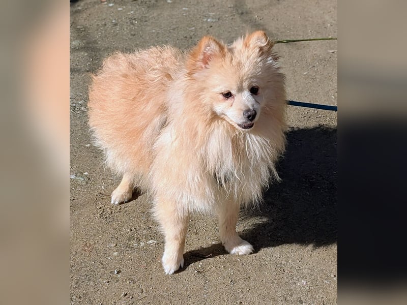 Moritz wartet auf sein Für-Immer-Zuhause